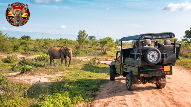 Serengeti Smile – Trusted Tanzania Safari Specialists for Custo &hellip;
