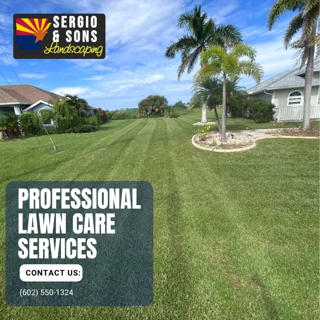 Sergio's Lawn Services