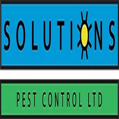 Solutions Pest Control Vancouver