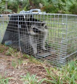 TrapOne Wildlife Removal