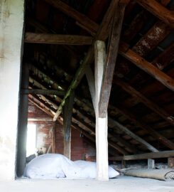 TrapOne Wildlife Removal
