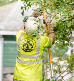 Total Control Tree Service