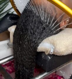 Mane Treatment Headspa