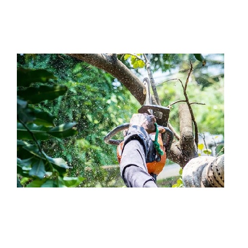 Vision Tree Service