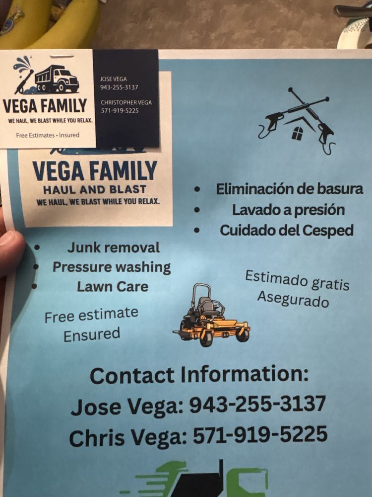 Vega Family