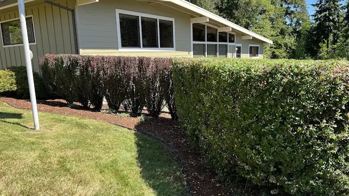 Alejo's Construction & Landscape LLC