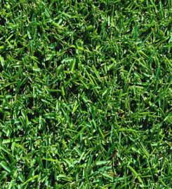 Hi Quality Turf Sydney