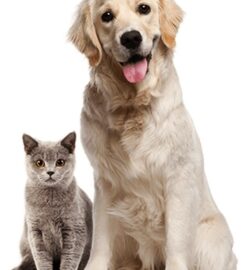 Physio for Pets