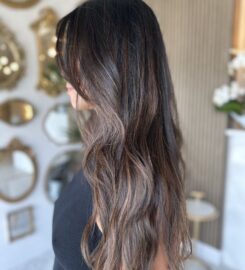 Salon B Naples