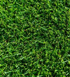 Hi Quality Turf Sydney