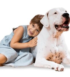 Physio for Pets