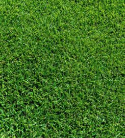 Hi Quality Turf Sydney