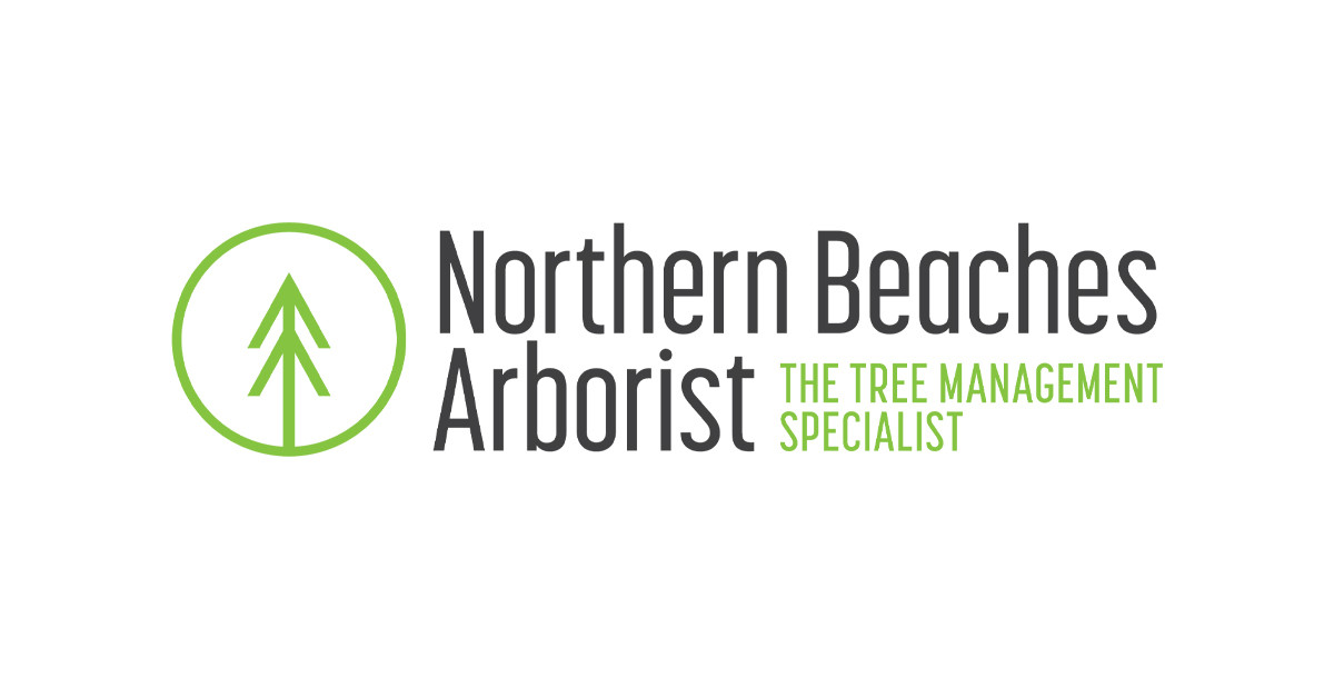 Northern Beaches Arborist