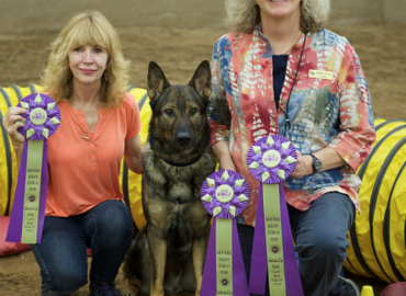 The K9 Coach