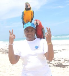 Lady TLC’s Travel Agency