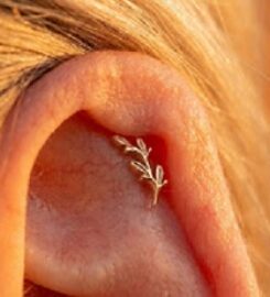 Platinum Point Piercing