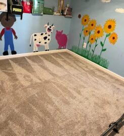United Carpet Cleaning