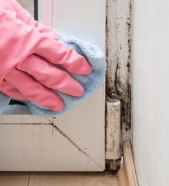 770 Water Damage & Restoration