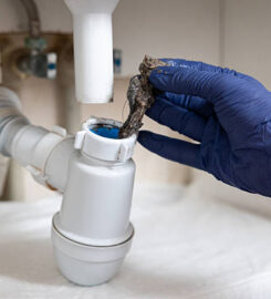Boston Clear Drain