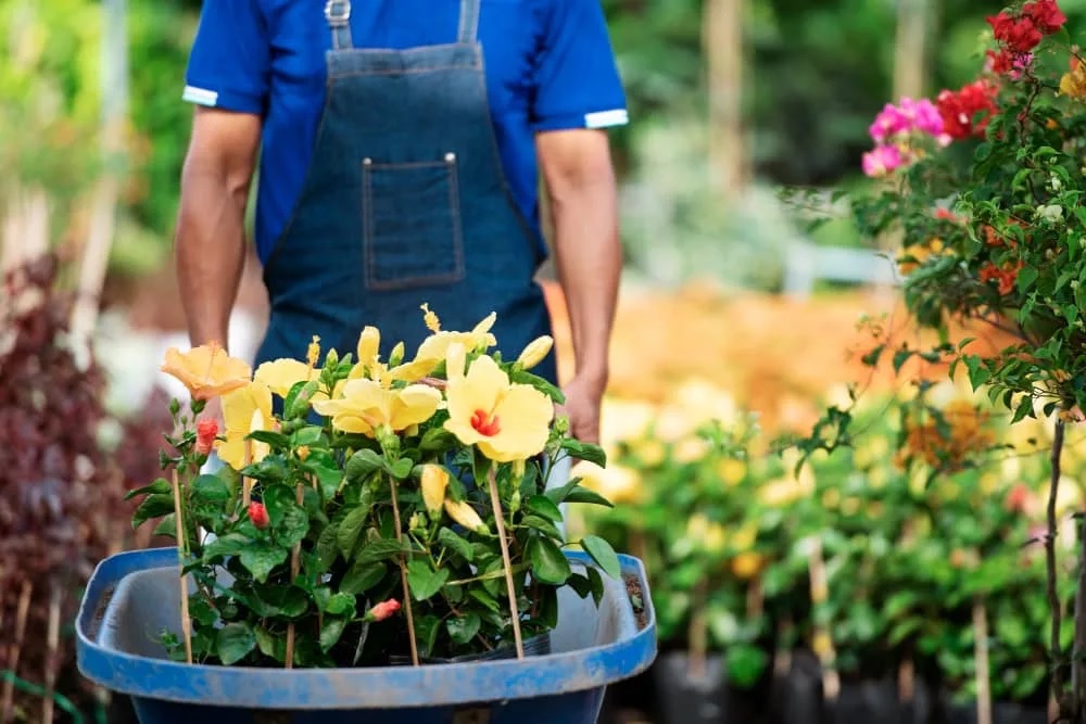 M.R Garden & Tree Service