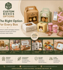 Custom Boxes Options