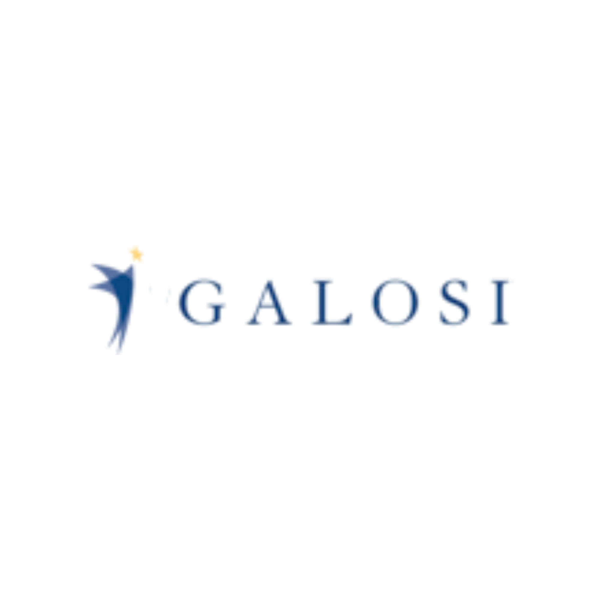 GALOSI Mobility & Accessibility Solutions