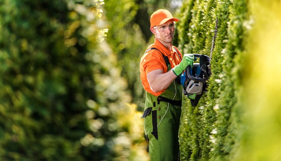 Beechfield Tree Services