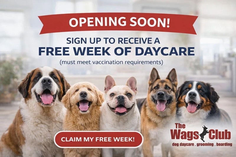 The Wags Club – Dallas
