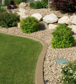 Tree World Landscaping