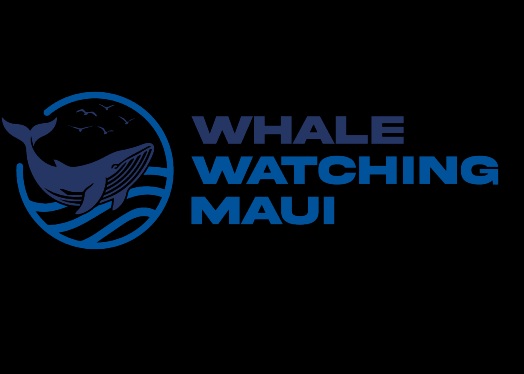 Whale Watching Maui