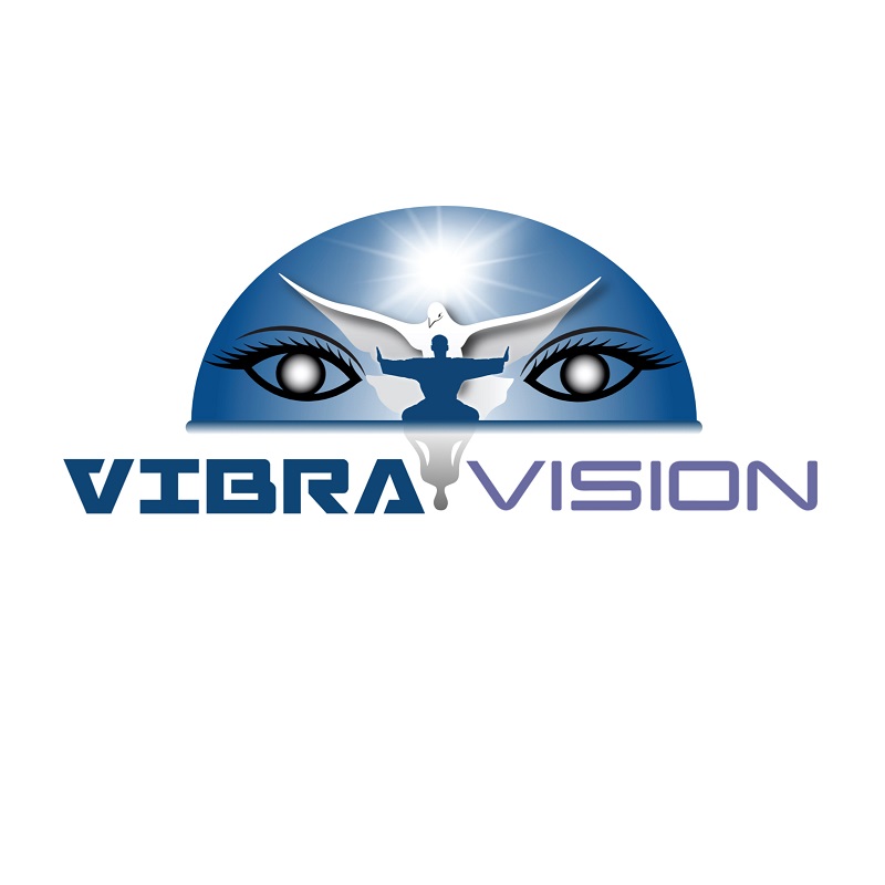 Vibravision LLC