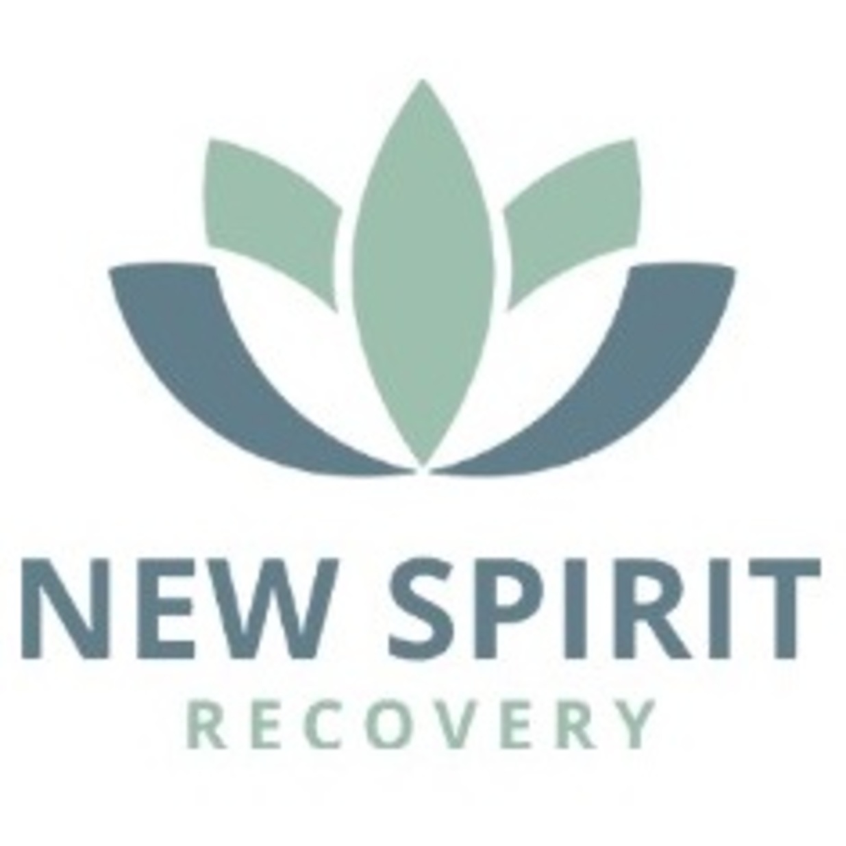 New Spirit Recovery