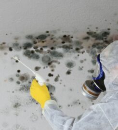 Hazard Clean Team