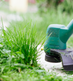 Tree World Landscaping