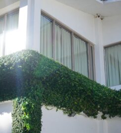 Rolletna – Motorised Blinds and Curtains Sydney