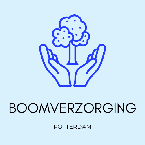 Rotterdam Boomverzorging