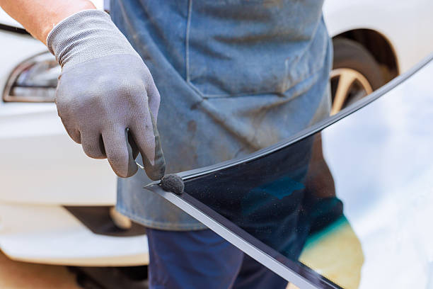 See N Clear Auto Glass Gilbert