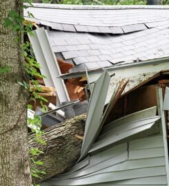 770 Water Damage & Restoration
