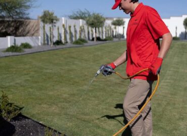 Arsenal Pest Control