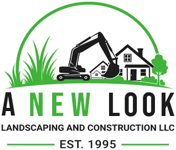 LA New Look Landscape
