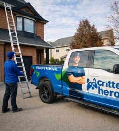 Critter Hero Wildlife Removal Niagara Falls