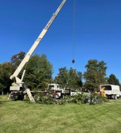 Tino's Tree Service
