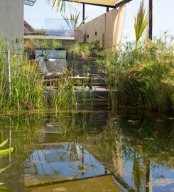 Cuna del Cielo