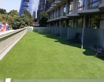 Lush Turf Solutions