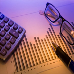 Michael L Emmel, CPA