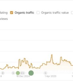 SEO Essex