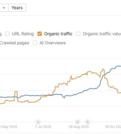 SEO Essex