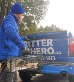 Critter Hero Wildlife Removal Niagara Falls