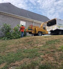 Tino's Tree Service