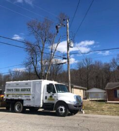 Tino's Tree Service